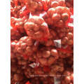 Chinese New Crop Shallot Vegetable with High Exporting Quality